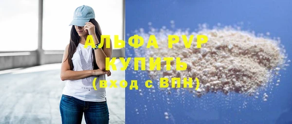 индика Майский