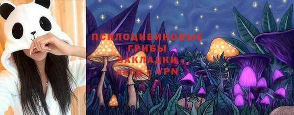 ECSTASY Магас