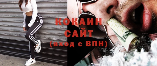 индика Майский