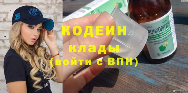 индика Майский