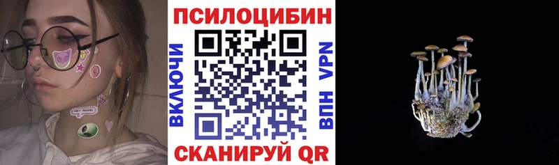 Псилоцибиновые грибы Cubensis  mega онион  Черноголовка 